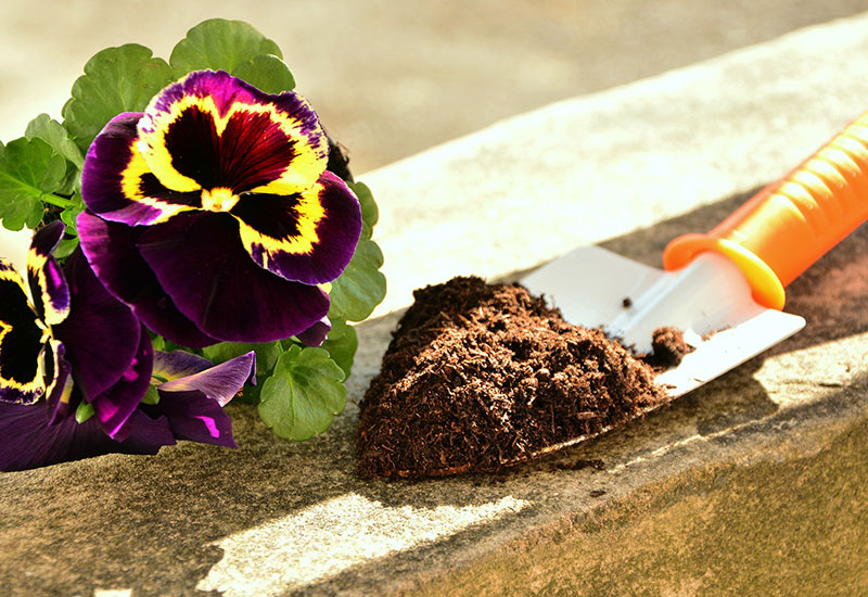 Blumenerde