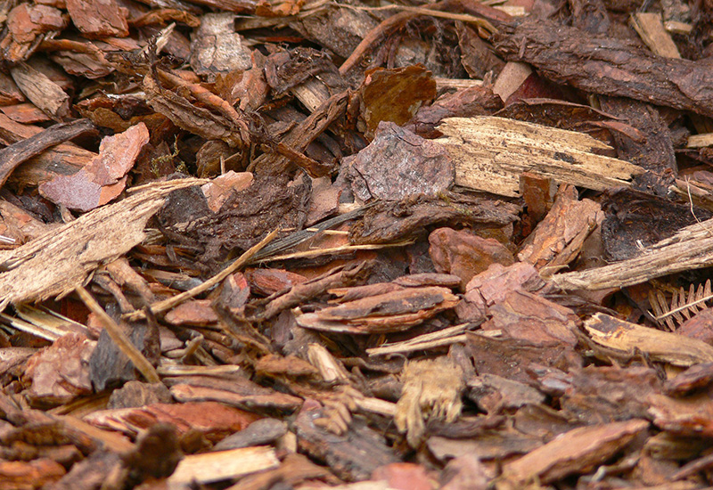 Rindenmulch